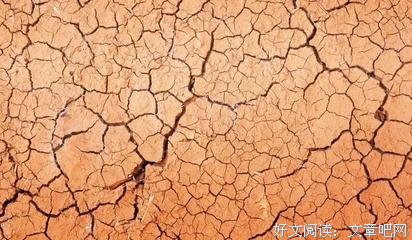 野史｜敢废了我老公的鸡，走着瞧