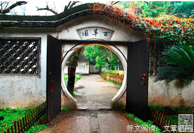 《己亥》读后感100字