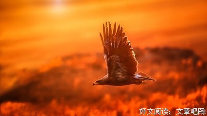 关于义薄的名言