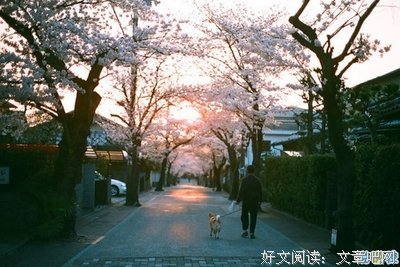 华美经典的句子