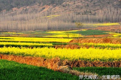 关于此情可待的句子