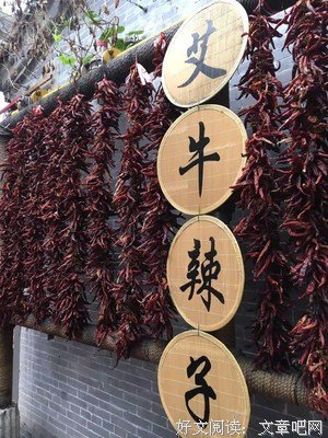 《皓衣行》经典观后感集