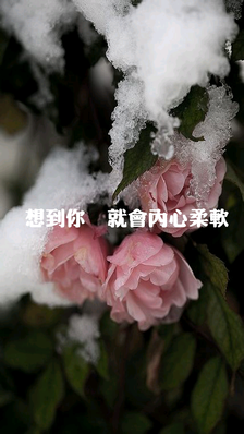 【久溺深海冷不冷】经典的句子