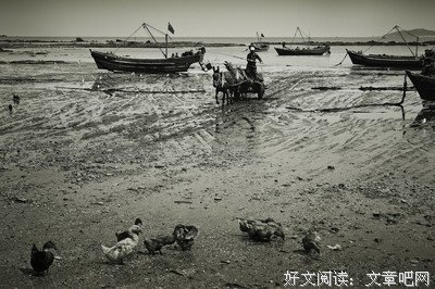 《海蜇》影评精选