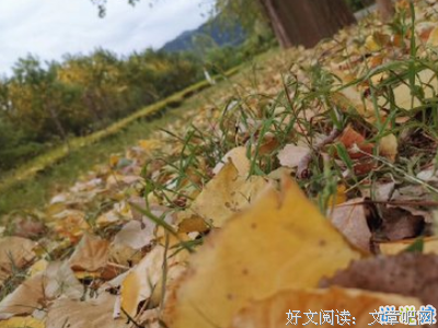 关于顾长安。的优美句子