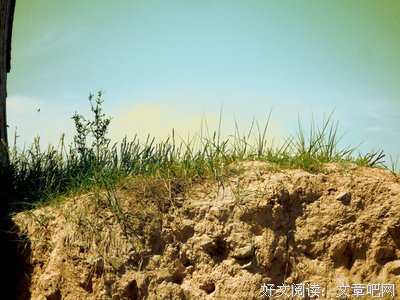 《恍如隔世》影评100字