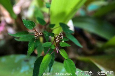 《神奇的地上地下》经典读后感有感