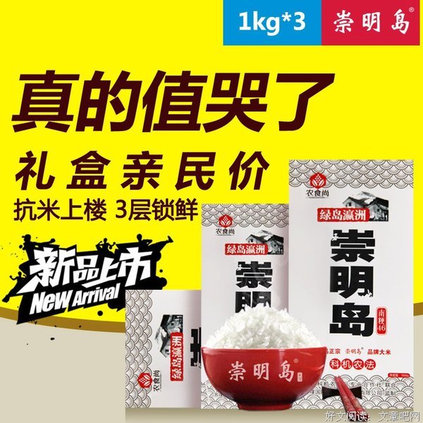 最新的《人间乐》小说摘抄