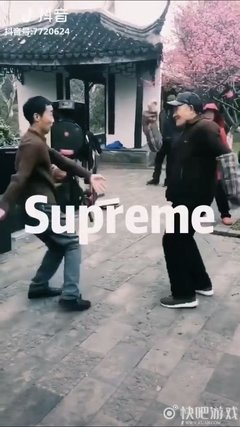 万物静默如谜句子大全