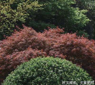 孑游魂优美的句子