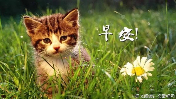 《到大认为们说》的句子