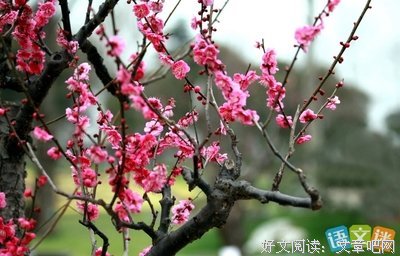 落尘这觉间名句欣赏