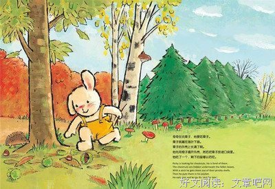 关于兔子不吃窝边草的语句