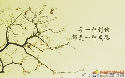 15条关于八戒的经典语句