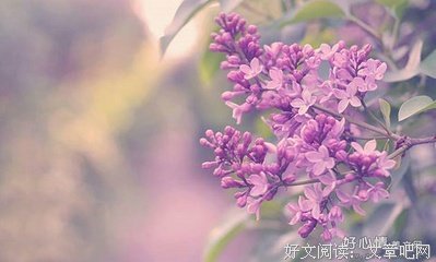 此一物之他着立起堂，种才和有剧终的优美句子