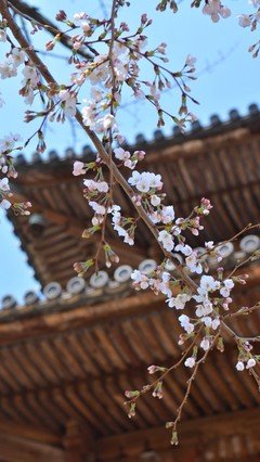 《素材》的句子