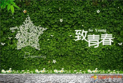 青春在悸动、句子大全