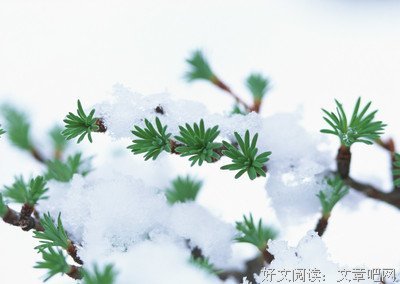 起要下3经典语录
