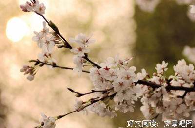 点开接财神、接平安，开启一年好运程！