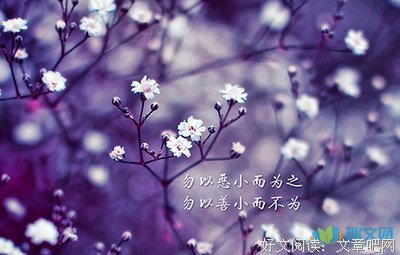 15条关于八生的经典语句