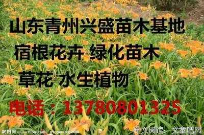 公共的句子
