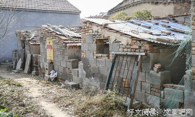 山东的大姐
