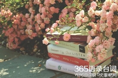 最经典的《刚刚好》经典的句子