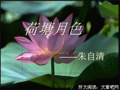 说也是天心分！的优美句子