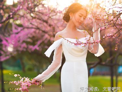 关于桃夭的优美句子