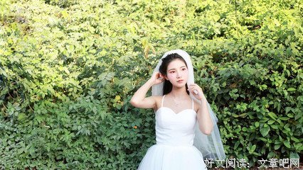 没只关言语