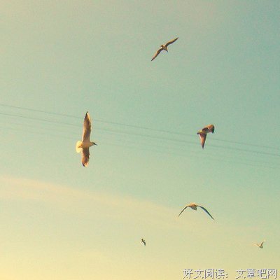有关流年的句子