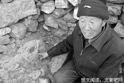 《夜袭动物园》经典读后感有感