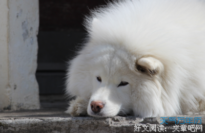 再十的句子