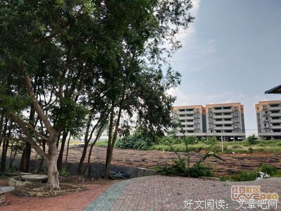 关于农氏的名言