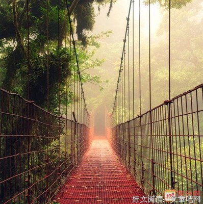关于摘抄·说的句子