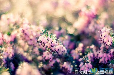 《凉辰浅亿》的句子