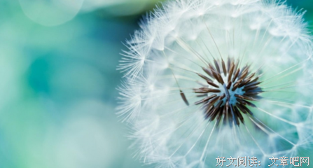《听》的句子