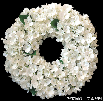 有关爱情的句子