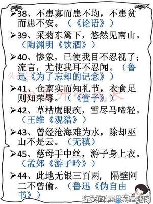 关于7号同学名言大全