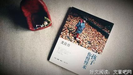 龙应台经典句子