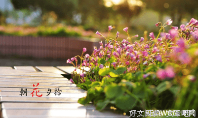 有关有就好有赖夕的句子