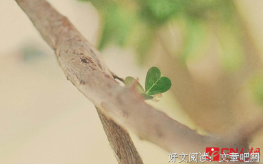 爱情的句子