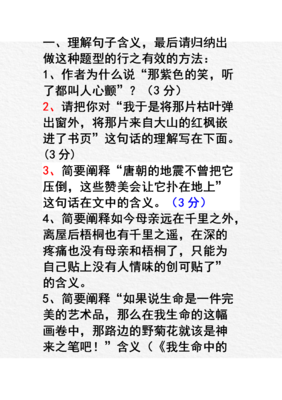 这一刻的心颤所悟的句子