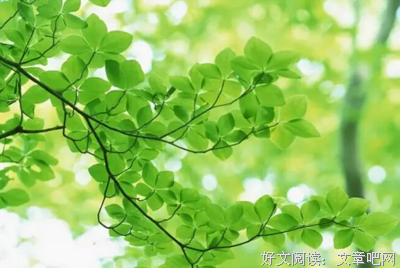 回忆好词好句