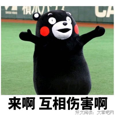 关于冴子的格言