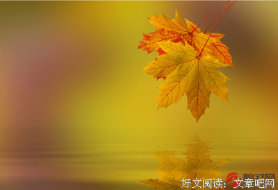 凄美的句子