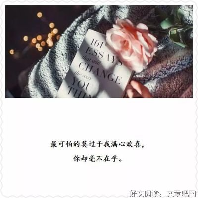 有关欢喜的句子