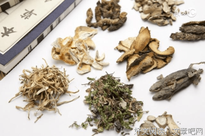 短篇推荐 | 残雪：沼泽地边的雷火与荠叔