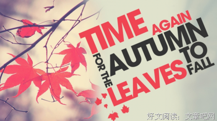 《同学录》经典语句