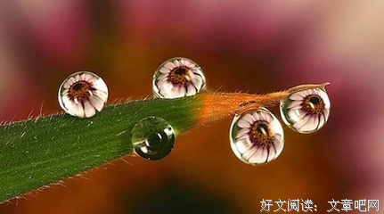 关于内心最深处的东西的优美句子